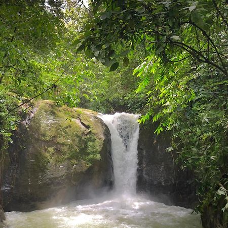 Rio Tico Safari Lodge Punta Mala Екстер'єр фото