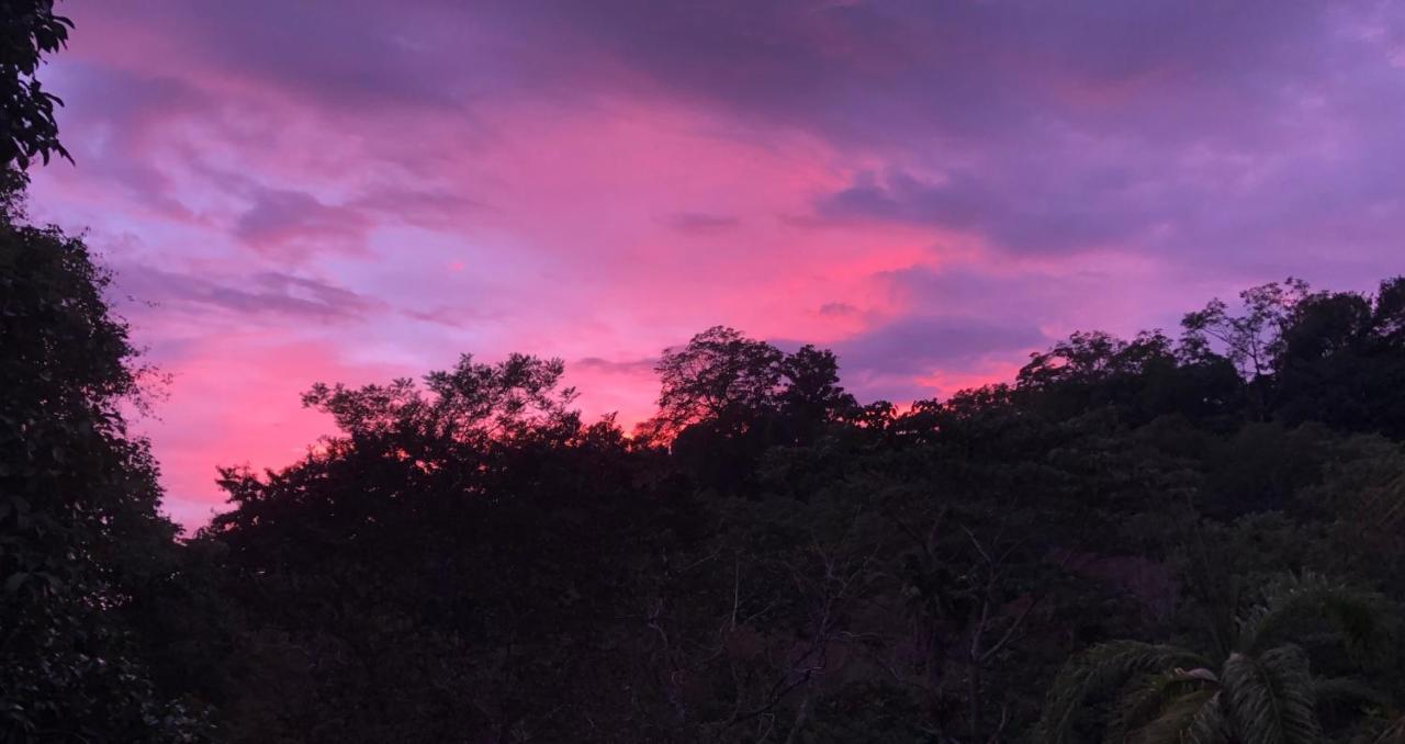 Rio Tico Safari Lodge Punta Mala Екстер'єр фото