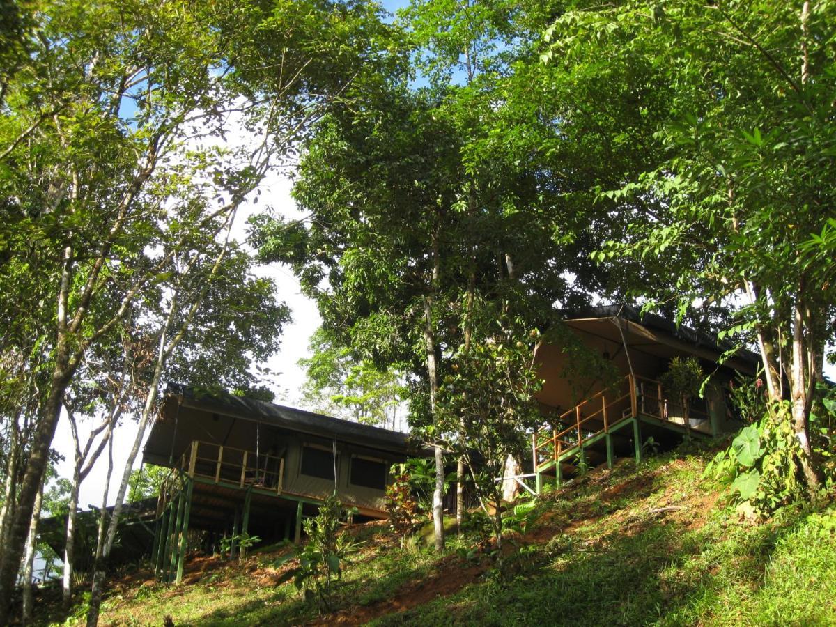Rio Tico Safari Lodge Punta Mala Екстер'єр фото