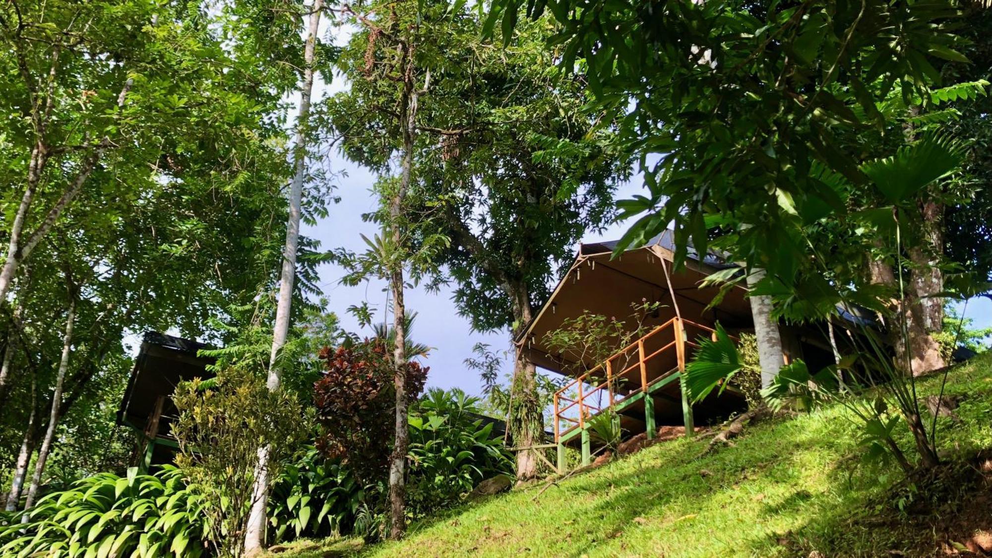 Rio Tico Safari Lodge Punta Mala Екстер'єр фото